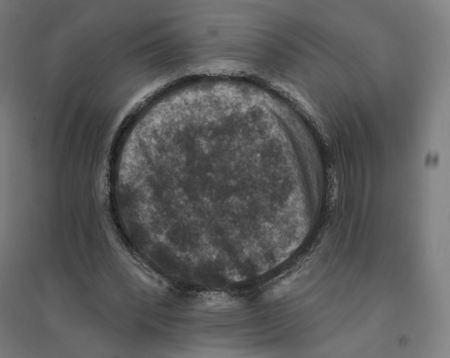 X0000094440392200712061143