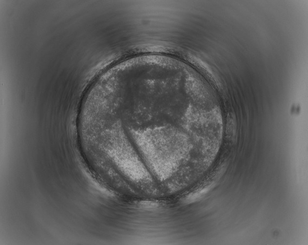 X0000094440394200712061143