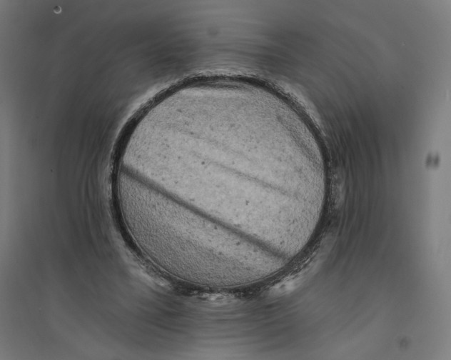 X0000094440395200712061143