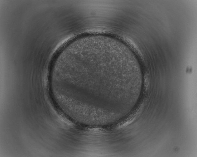 X0000094440396200712061143