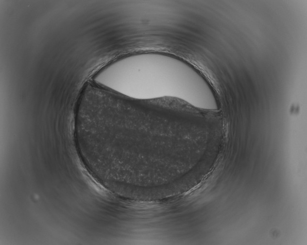 X0000094440397200712061143