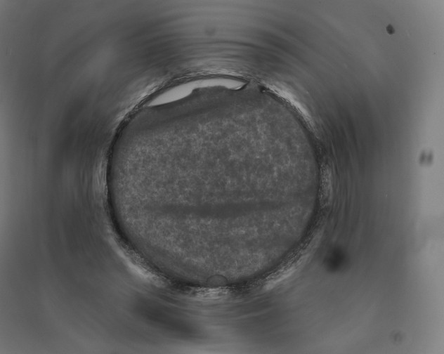 X0000094440398200712061143