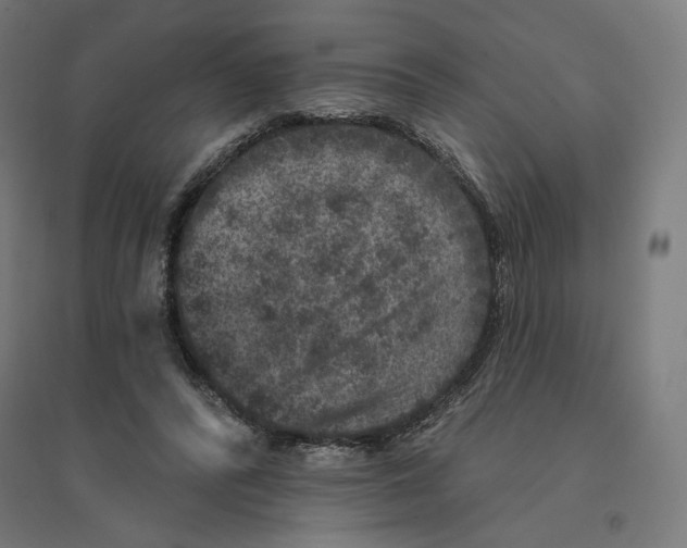 X0000094440400200712061143