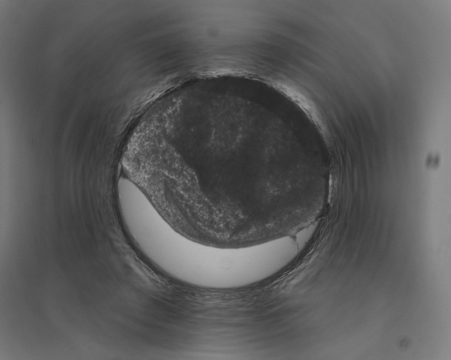 X0000094440401200712061143