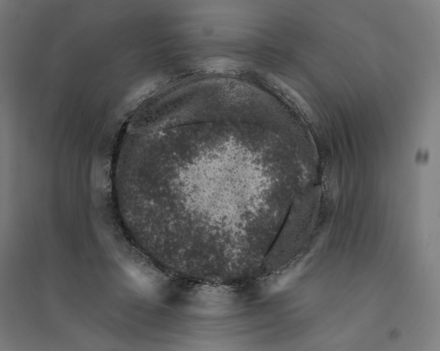 X0000094440403200712061143