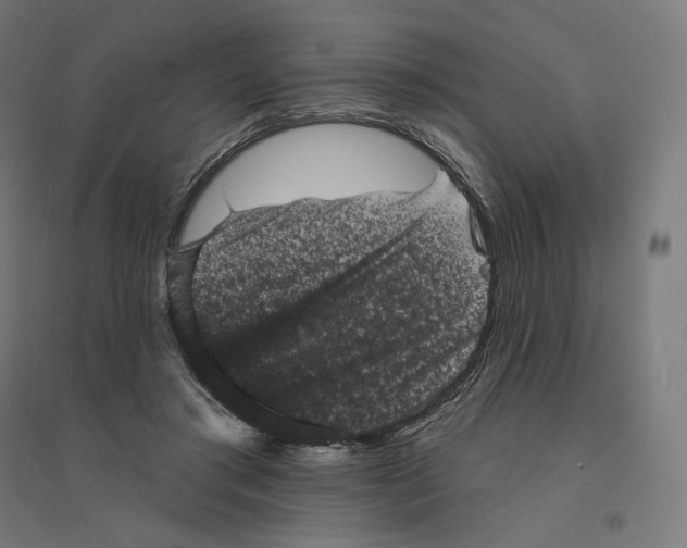 X0000094440405200712061143