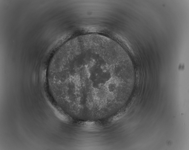 X0000094440406200712061143