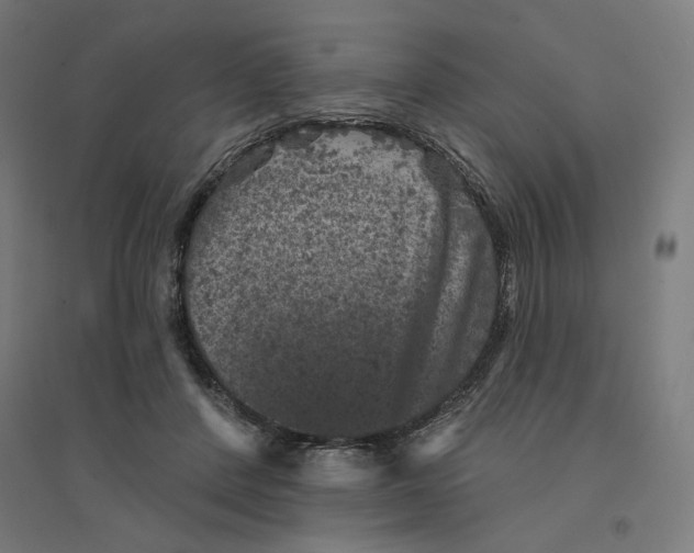 X0000094440408200712061143