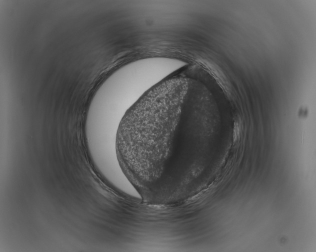 X0000094440409200712061143