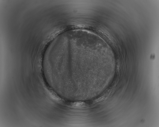 X0000094440410200712061143