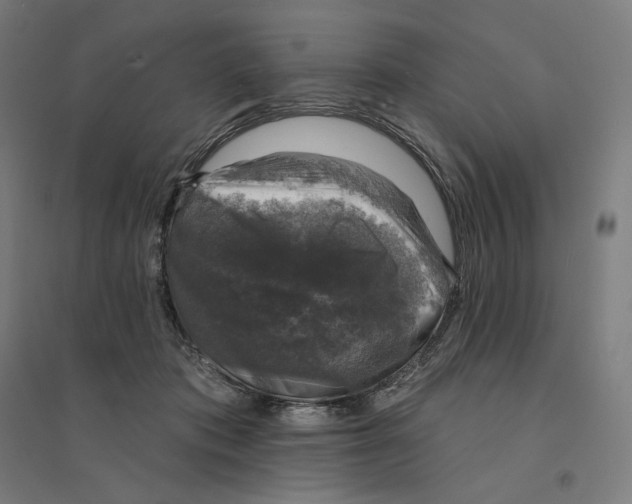 X0000094440413200712061143