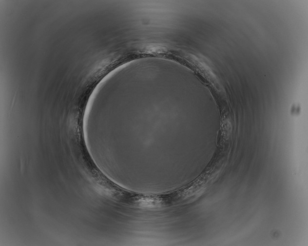 X0000094440415200712061143