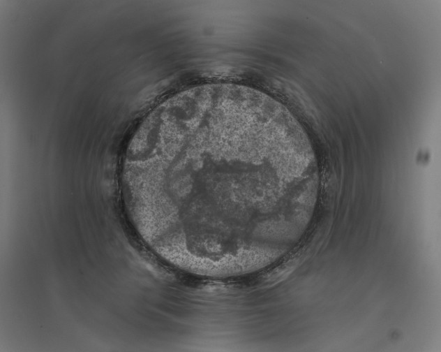 X0000094440416200712061143