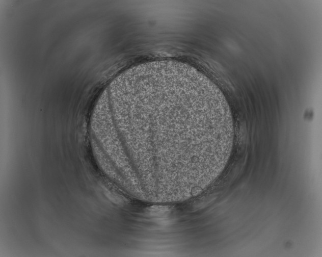 X0000094440418200712061143