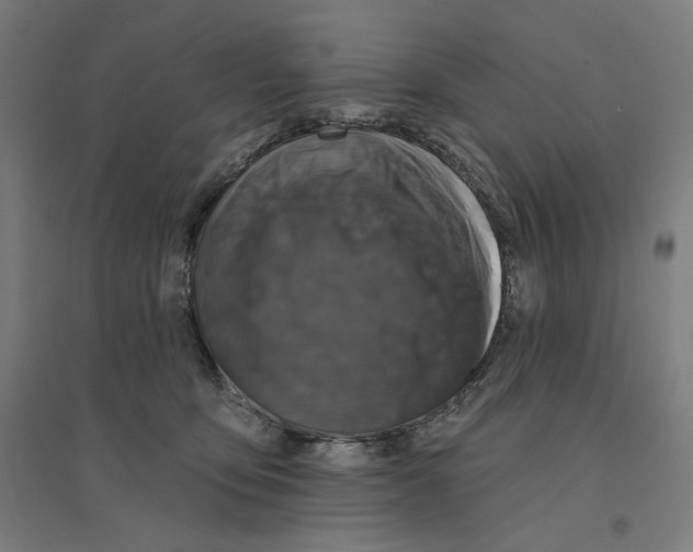 X0000094440419200712061143