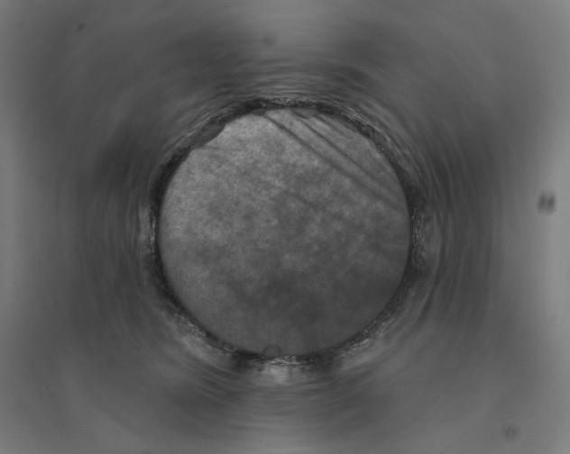 X0000094440420200712061143