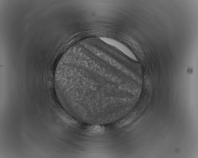 X0000094440421200712061142