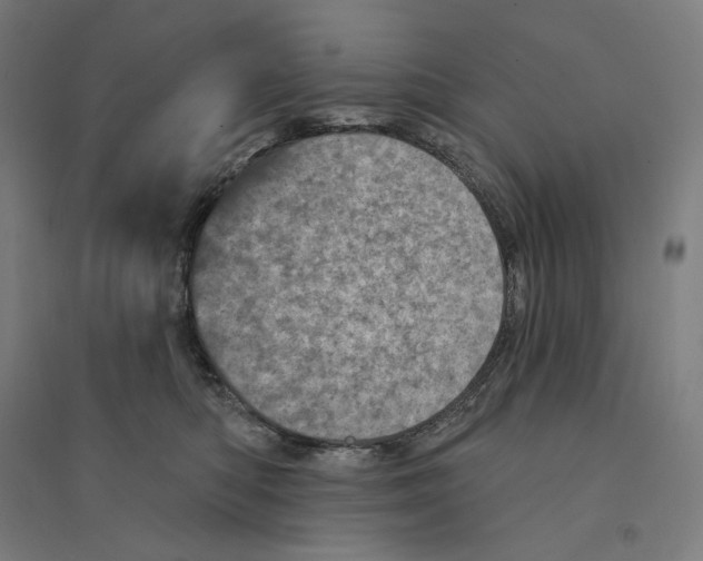 X0000094440422200712061142