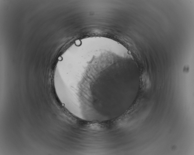 X0000094440423200712061142