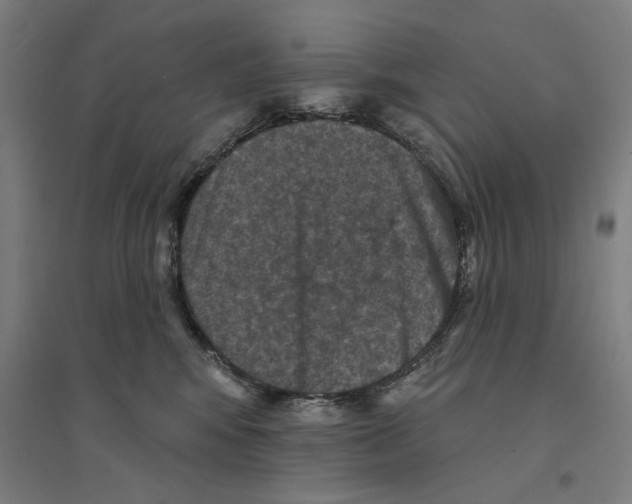 X0000094440424200712061142