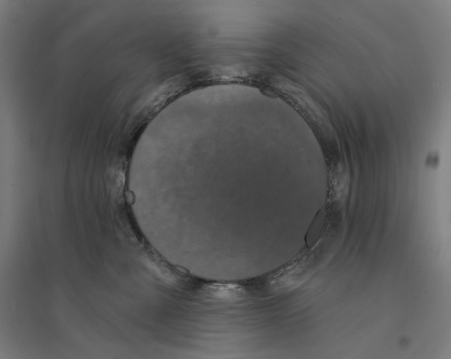 X0000094440427200712061142