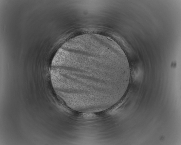 X0000094440429200712061142