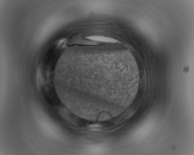 X0000094440430200712061142