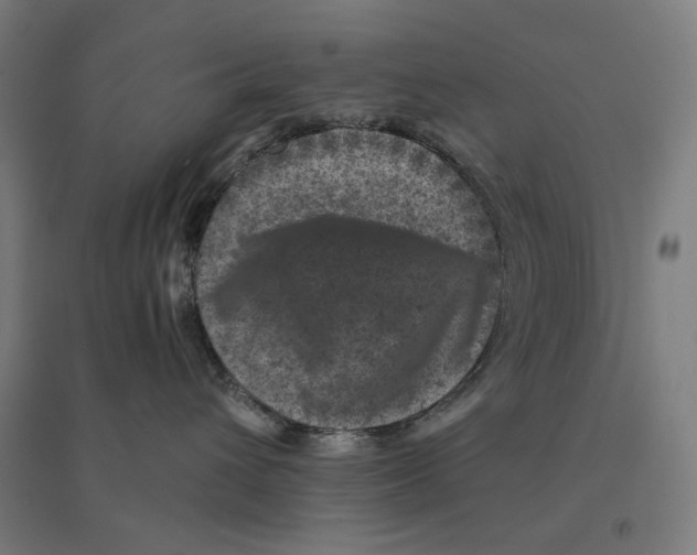 X0000094440432200712061142