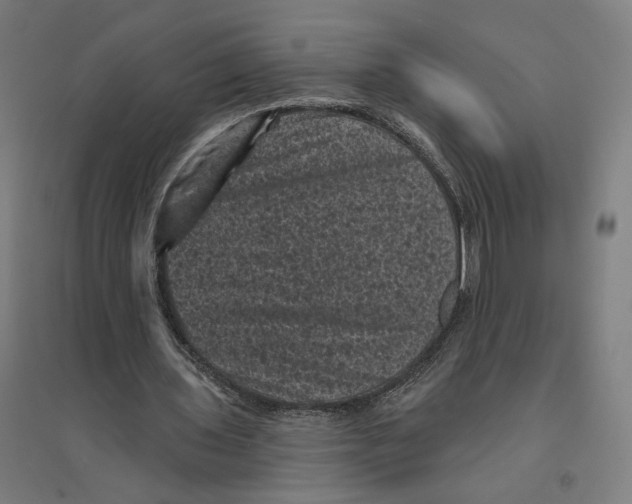 X0000094440435200712061141