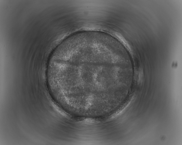 X0000094440441200712061141