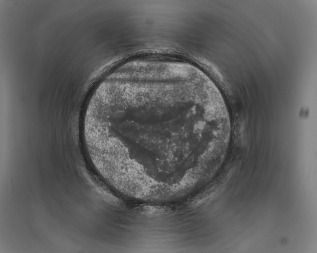 X0000094440442200712061141