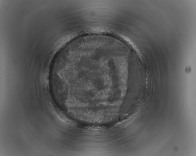 X0000094440443200712061141