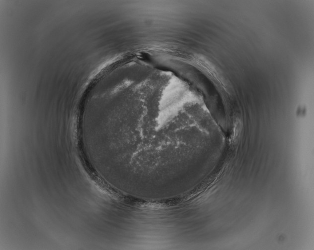 X0000094440444200712061142