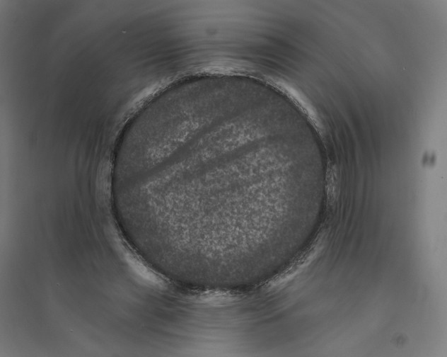 X0000094440445200712061142