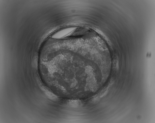 X0000094440446200712061142