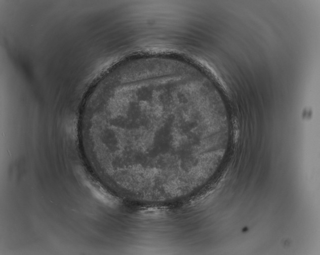 X0000094440447200712061142