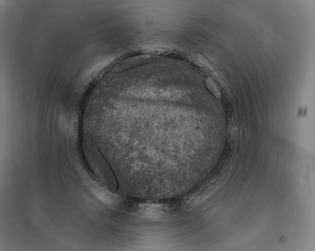 X0000094440448200712061142