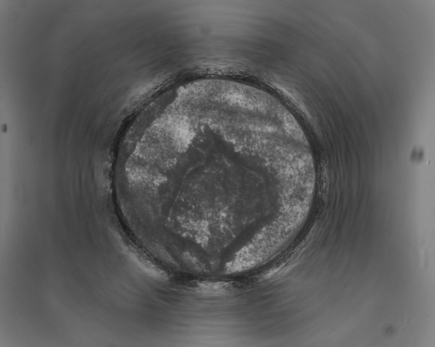 X0000094440450200712061142