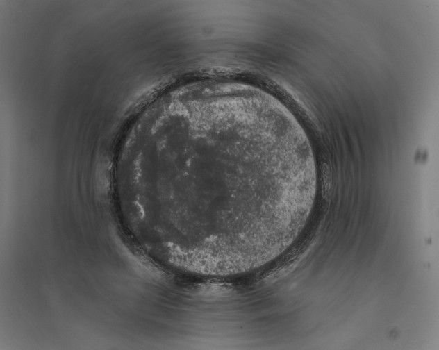 X0000094440451200712061142