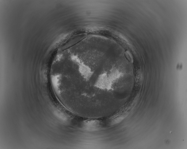 X0000094440452200712061142