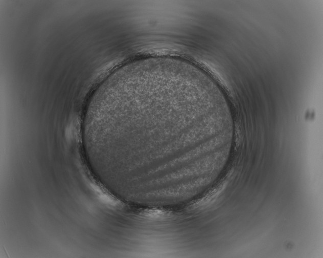 X0000094440453200712061142