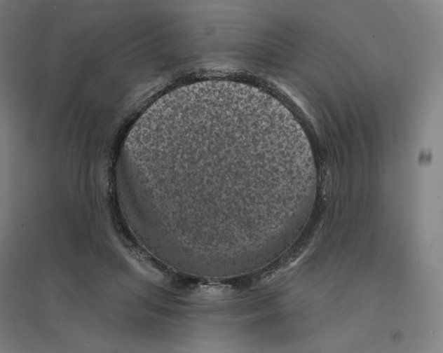 X0000094440455200712061142