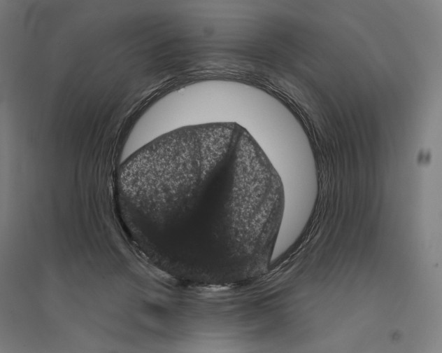 X0000094440456200712061142