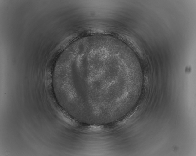 X0000094440457200712061142