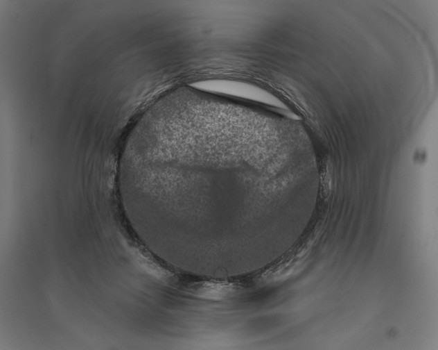 X0000094440458200712061142