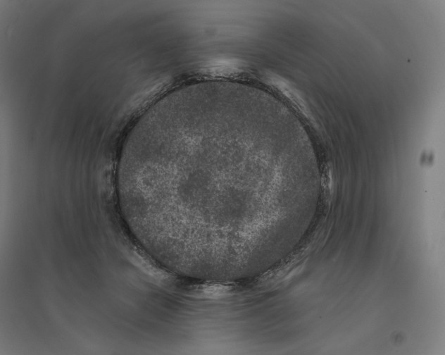 X0000094440462200712061142