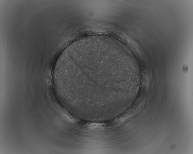 X0000094440465200712061142