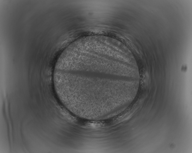 X0000094440466200712061142