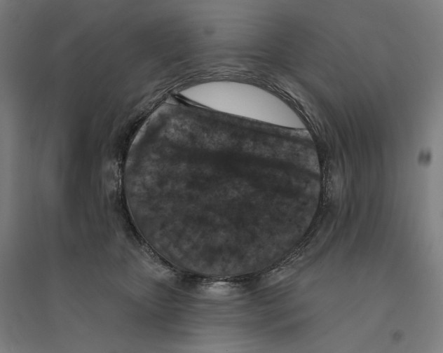 X0000094440467200712061142