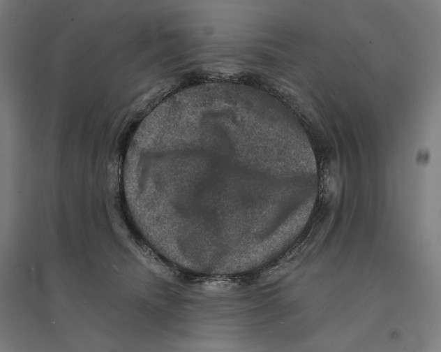 X0000094440468200712061142